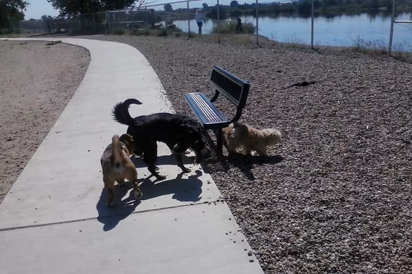 Lake McKenzie Dog Park